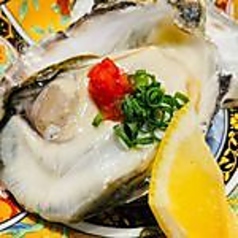 兵庫県赤穂の大粒牡蠣 生