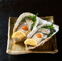 天魚の特集写真