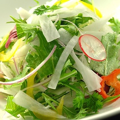 フレッシュ野菜サラダ