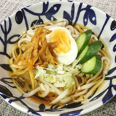 辛ネギ冷やし稲庭うどん