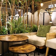 緑と光が織りなす癒しの空間