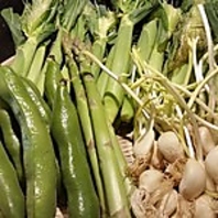 旬の鮮魚とこだわり野菜で彩る、四季折々の日本の味わい