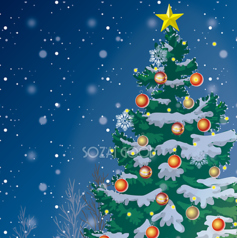 トラットリア・フェリーチェのコース写真