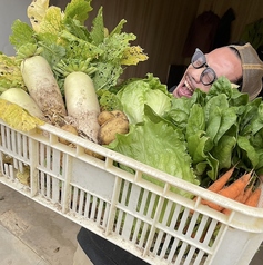 唐津の実家農園の新鮮野菜
