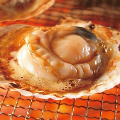 殻付きホタテ (3枚) Grilled Scallops in Shell (3 pieces)
