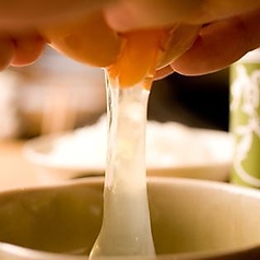 京たまご 茶乃月の卵