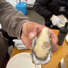 牡蠣小屋 牡蠣マフィアの特集写真