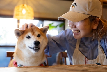 LUCU CAFE ルチュカフェの雰囲気1