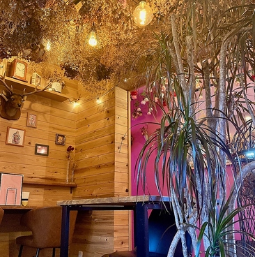 chochoritaの雰囲気1