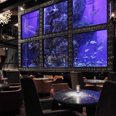 AQUA RESTAURANT&BAR LUXIS ラグシス特集写真1