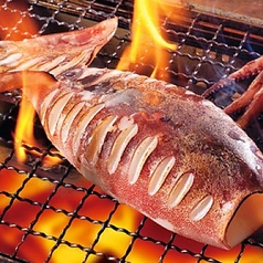 特選焼イカ半身 Grilled Premium Squid Half