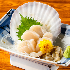 活帆立刺し