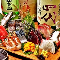 旬の魚介を活かした料理で味わう贅沢なひととき