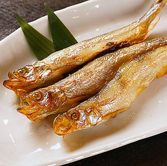 menu photo