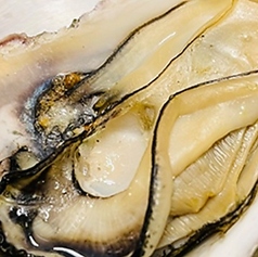 和乃食はねやのコース写真