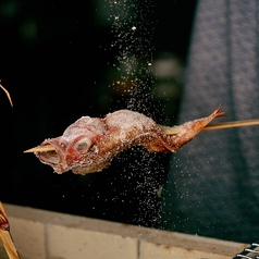 うおうお 横浜駅前店特集写真1