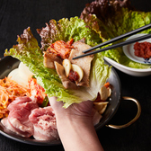 定番の人気メニューを完全網羅して、誰とでも美味しさをシェアできる飲み放題付きコースをご用意。