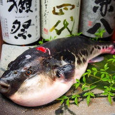 魚とごはん つき灯りのコース写真