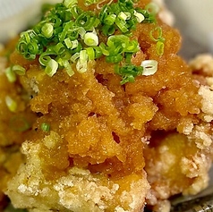 唐揚げ 各種