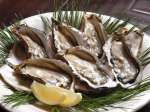 厚岸産の牡蠣はぷりっぷりの食感と濃厚な旨味が最高！
