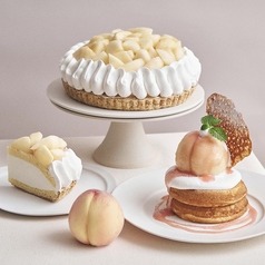 カフェ&ブックス ビブリオテーク cafe&books bibliotheque 天神店の写真