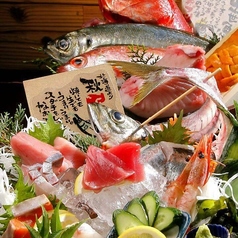 本日のお造り盛り合わせ