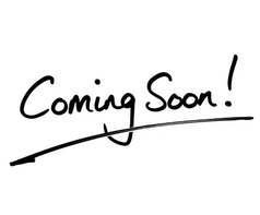 だるま商店の写真