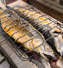 生トロサバ干物　１尾