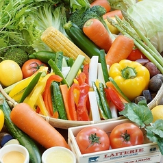 ● 新鮮東京野菜