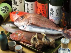 朝獲れ！厳選の鮮魚を使ったお料理