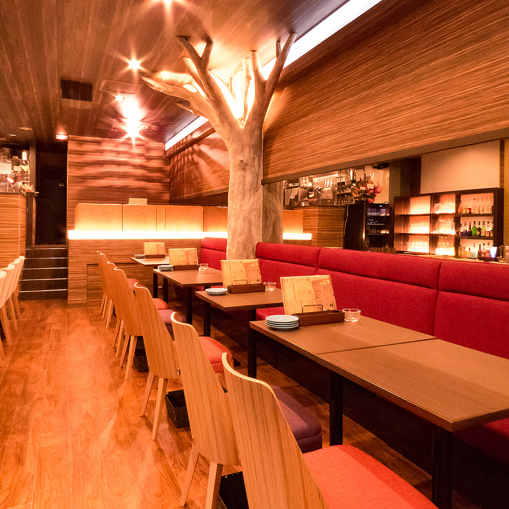 店内は明るく陽気な雰囲気。店内中央には大木が？！太陽をイメージしたライトもオシャレ。