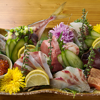 四季折々の旬の地魚やお肉が味わえるコースあり！