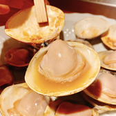 三重県桑名より、毎日直送されるはまぐりは臭みが一切なく、身もプリプリでFRESHです!是非「わんこスタイル」でお楽しみ下さい!