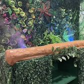 幻想的な森の中のような内装です！