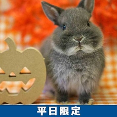 Ashiya月兎 ぷらすのコース写真