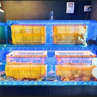 新鮮な海鮮が売り