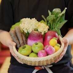 三浦半島から直送、うまい！野菜【三浦野菜】