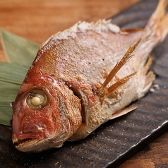 魚将 秋葉原本店のコース写真