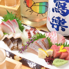 和のごちそう屋 菜つきのコース写真