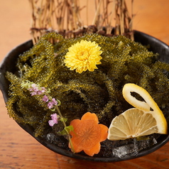 海ぶどう