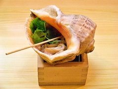 大貝つぼやき