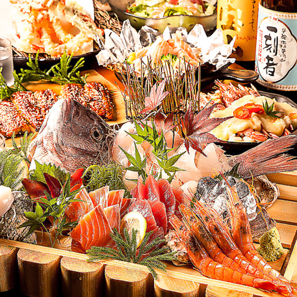自慢の鮮魚を使用した予算から選べるコースを種類豊富にご用意♪シーンに合わせてお選び下さい◎