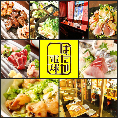 ◆産地直送の食材を使用した美味しい九州料理と焼酎を堪能！