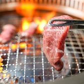 【こだわりの焼肉食べ放題!】店内でカットされた鮮度抜群のお肉をたっぷり堪能できる!更にタレは計6種類あり、最後まで飽きずに食べ放題をお楽しみいただけます。自分好みの組み合わせを見つけて、心ゆくまで焼肉をお楽しみください。