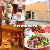 Cafe Primavera カフェプリマベーラ