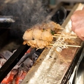 焼き鳥 桂のおすすめ料理2