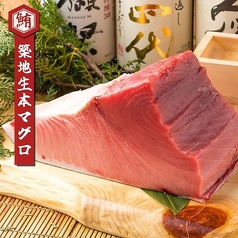 築地生本マグロ｜贅沢に使用した新鮮な生本マグロをお刺身や揚物や焼物で贅沢にご賞味頂けます。の写真