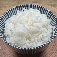 ご飯