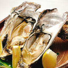 酒と鮨 ガリとあガリ すすきの店の特集写真