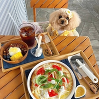 ペットの同伴も可能です♪